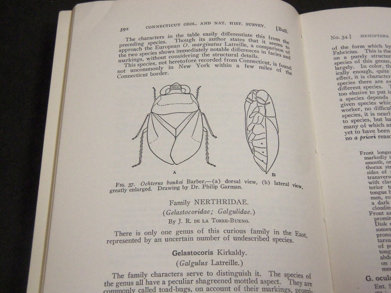 1923 GUIDE TO THE INSECTS OF CONNECTICUT BULLETIN NO. 34 - NICE ILLUS. - KD 988