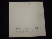 2001 PICASSO FROM MALAGA SOFTCOVER BOOK - ENGLISH & SPANISH TEXT - KD 8704