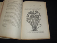 1867-1869 THE AMERICAN JOURNAL OF HORTICULTURE MAGAZINE LOT OF 4 - WR 54B