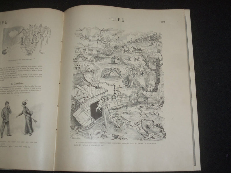 1913 AUGUST 14 LIFE MAGAZINE - SUMMER JOYS - NICE ILLUSTRATED COVER - ST 6490