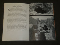 1940'S THE ORIENTAL INSTITUTE OF THE UNIVERSITY OF CHICAGO BOOK - J 3561