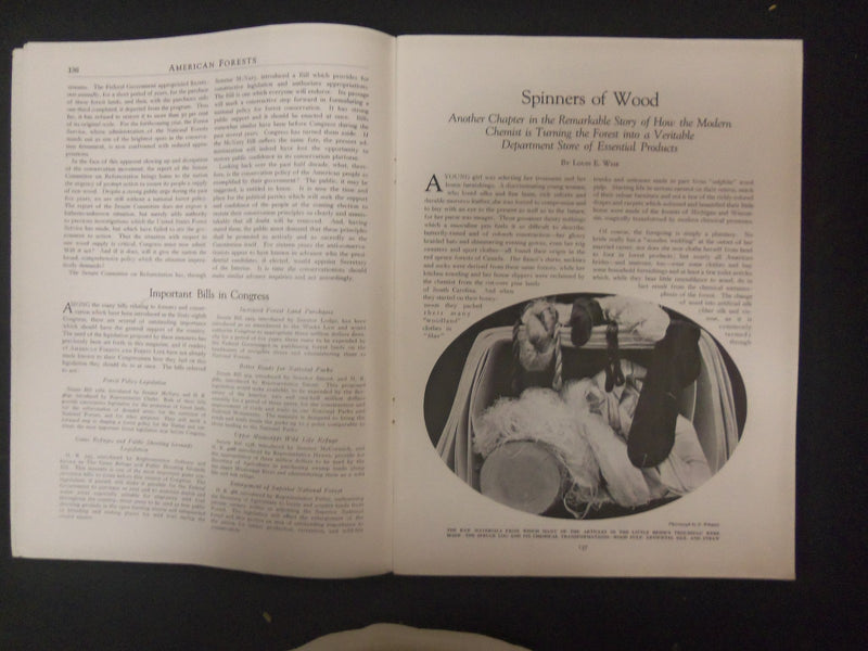 1924 MARCH AMERICAN FORESTS & FOREST LIFE MAGAZINE - ST 4607