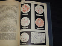 1901 SYLLABUS OF BACTERIOLOGY DESIGNED TO AID PHYSICIAN - 5 PLATES - J 7953