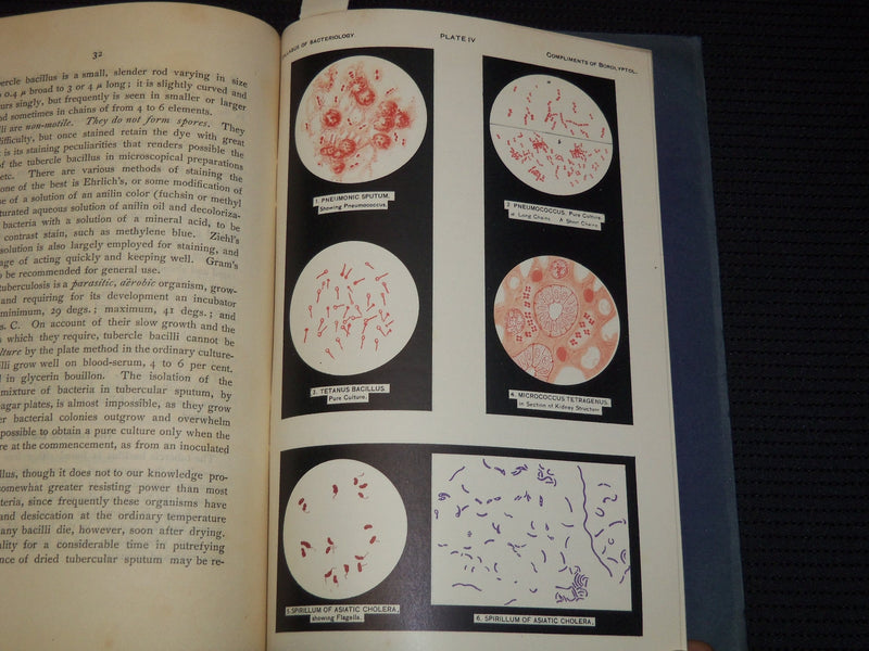 1901 SYLLABUS OF BACTERIOLOGY DESIGNED TO AID PHYSICIAN - 5 PLATES - J 7953