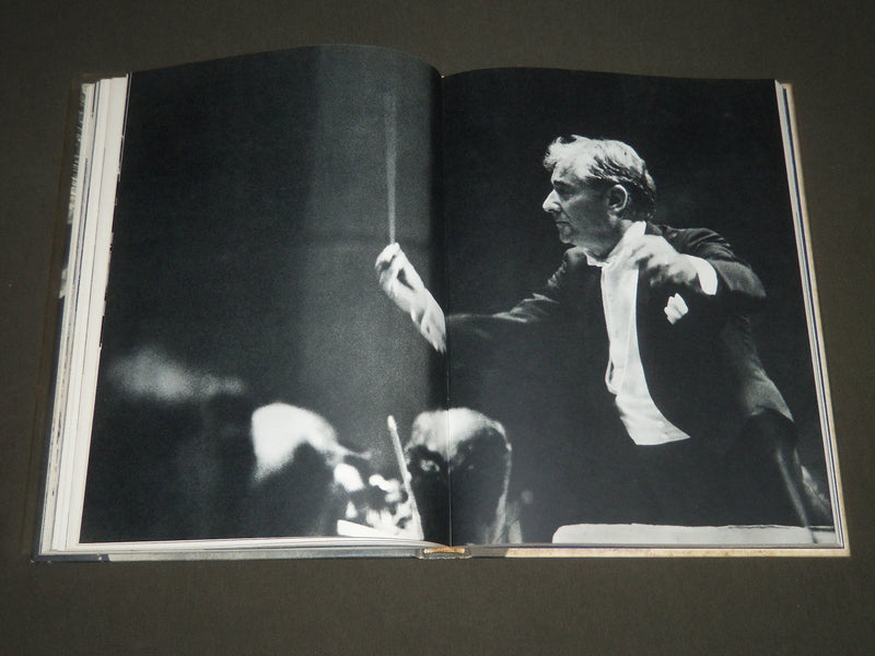 1968 THE PRIVATE WORLD OF LEONARD BERSTEIN BY JOHN GRUEN BOOK - I 993