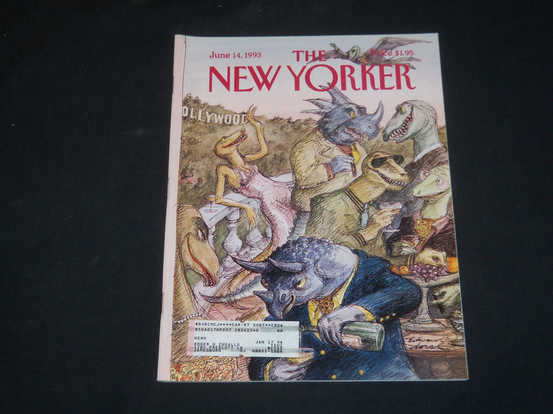 1993 JUNE 14 THE NEW YORKER MAGAZINE - ILLUSTRATED COVER - NY 1588