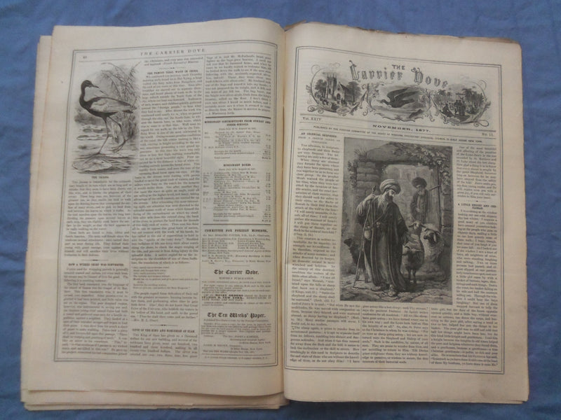 1873-1877 CARRIER DOVE NEWSPAPER -PROTESTAND EPISCOPAL CHURCH-LOT OF 60- NP 8413