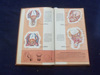 1958 TRANS-VISIONS OF ANATOMICAL CHROMOGRAPHS HARDCOVER BOOK BY DAVIS - KD 8756