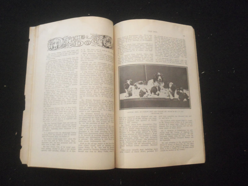1905 OCTOBER THE NORTH-WESTERN SPORTSMAN MAGAZINE - SP 6377Y