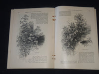 1886 HARPER'S MONTHLY MAGAZINE LOT 11 ISSUES - NICE ILLUSTRATIONS & ADS- WR 1416