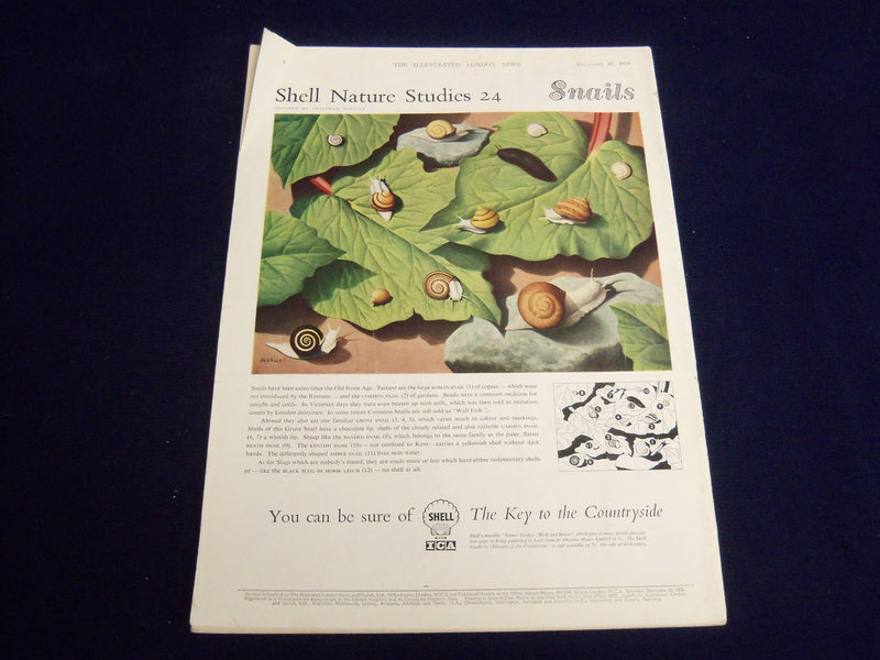 1956 DECEMBER 22 ILLUSTRATED LONDON NEWS MAGAZINE - FIRST TEST ROCKETS - 8075