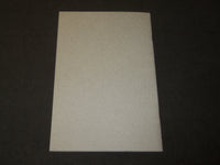 1929 INFANT WELFARE SOCIETY OF CHICAGO 19TH ANNUAL REPORT - J 3483