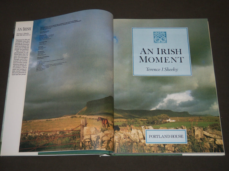 1989 An Irish Moment by Outlet Book By Terence J. Sheehy - I 478