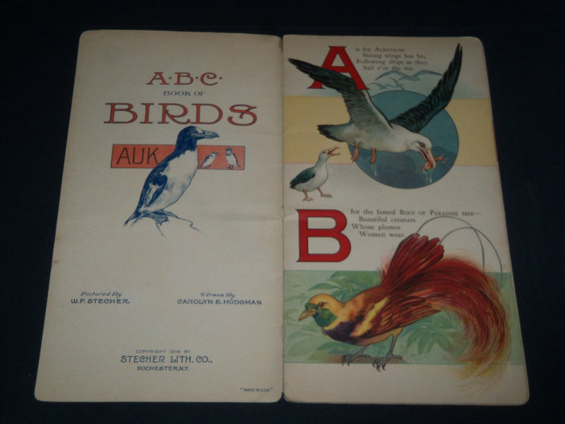 1916 A. B. C. BOOK OF BIRDS NO. 41 PICTURED BY W. F. STECHER - HODGMAN - J 3979