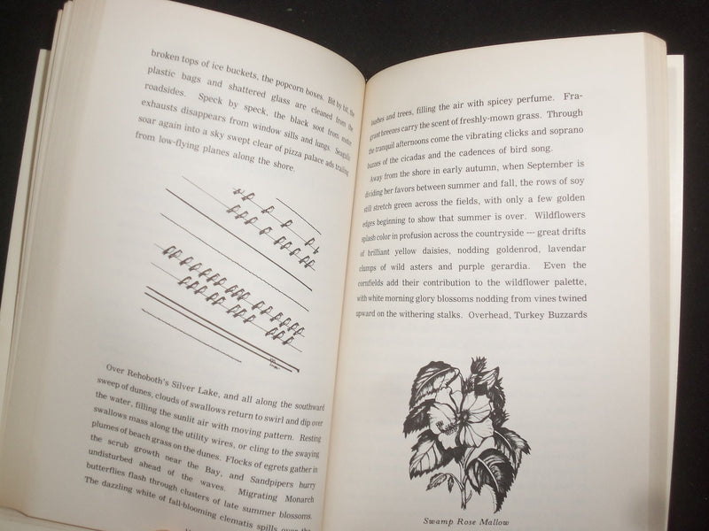 1978 SEAGULLS HATE PARSNIPS SOFTCOVER BOOK SIGNED BY VIRGINIA TANZER - KD 9299
