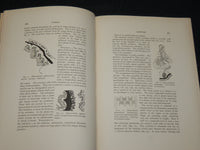 1900-1902 WASHINGTON ACADEMY OF SCIENCES PROCEEDINGS VOLUME LOT OF 3 - R 8D
