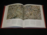 1985 WHITNEY MUSEUM OF AMERICAN ART HARDCOVER BOOK BY PATTERSON SIMS - R 714T