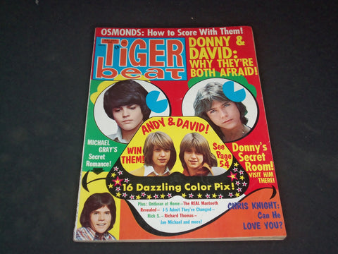 1973 MAY TIGER BEAT MAGAZINE - ANDY AND DAVID WILLIAMS - SP 8614