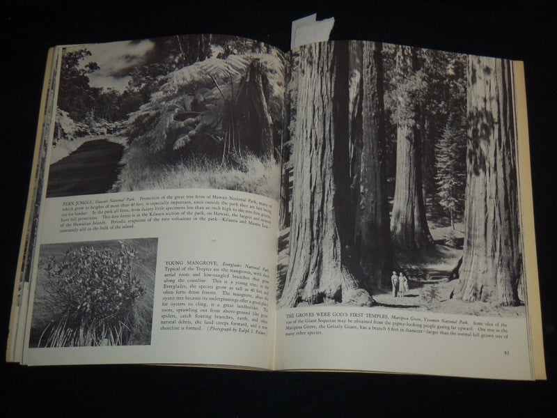 1961 THE NATIONAL PARK STORY IN PICTURES BOOK BY ISABELE F. STORY - J 8908
