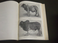 1925 REVIEW OF AGRICULTURE OPERATIONS IN INDIA 1923-1924 BOOK - PHOTOS - KD 4209