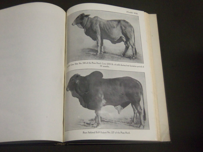 1925 REVIEW OF AGRICULTURE OPERATIONS IN INDIA 1923-1924 BOOK - PHOTOS - KD 4209