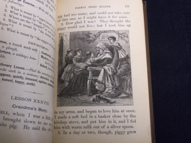 1884 THE NEW NORMAL THIRD READER VOLUME BY ALBERT RAUB LOT OF 2 - KD 4814U