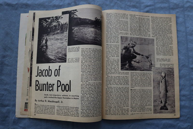 1944 JULY SPORTS AFIELD MAGAZINE - STRANGE ENEMIES OF GAME - ST 1001M