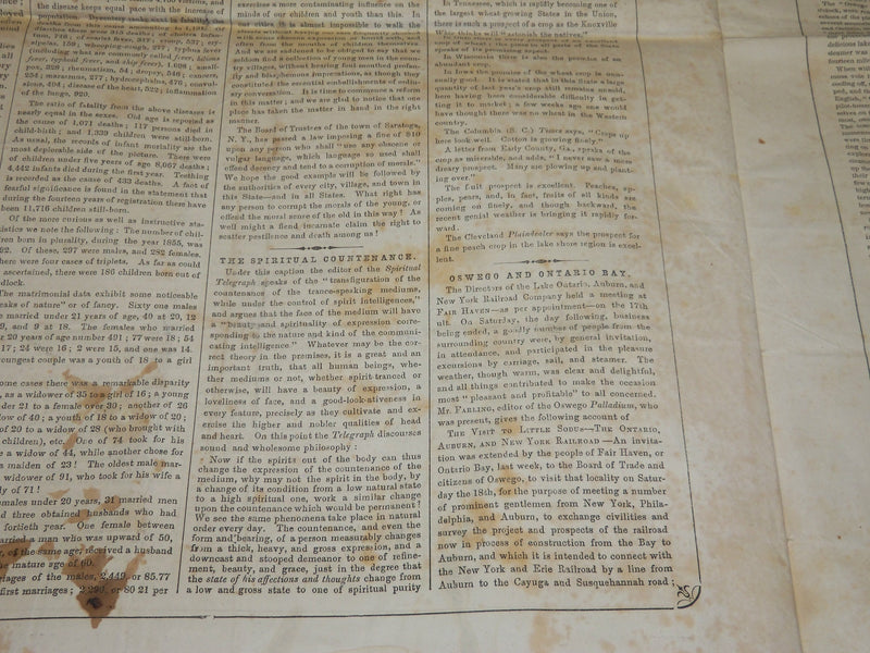 1857 AUGUST 8 LIFE ILLUSTRATED NEWSPAPER - ALPINE PEDESTRIANISM - NP 4787