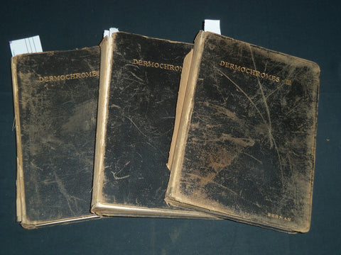 1913 PORTFOLIO OF DERMOCHROMES BY JEROME KINGSBURY VOLUMES 1-3 - KD 986