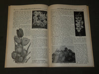 1926 WHAT WHERE WHEN AND HOW TO PLANT BOOK - THIRD EDITION - J 3718