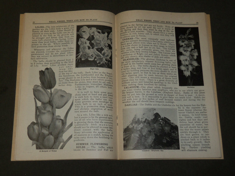 1926 WHAT WHERE WHEN AND HOW TO PLANT BOOK - THIRD EDITION - J 3718