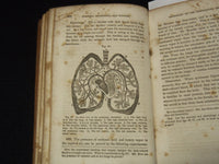 1853 A TREATISE OF ANATOMY BOOK BY CALVIN CUTTER, M. D - NICE ILLUS. - J 8118