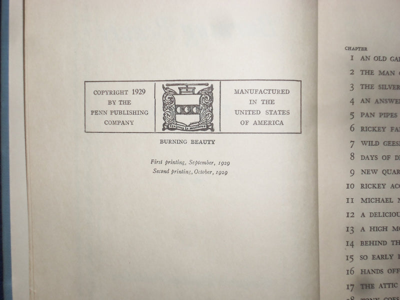 1929 BURNING BEAUTY HARDCOVER BOOK BY TEMPLE BAILEY - KD 9055
