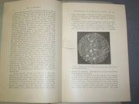1901 THE SERPENTINES OF MANHATTAN ISLAND AND VACINITY BY D. H. NEWLAND - J 4956