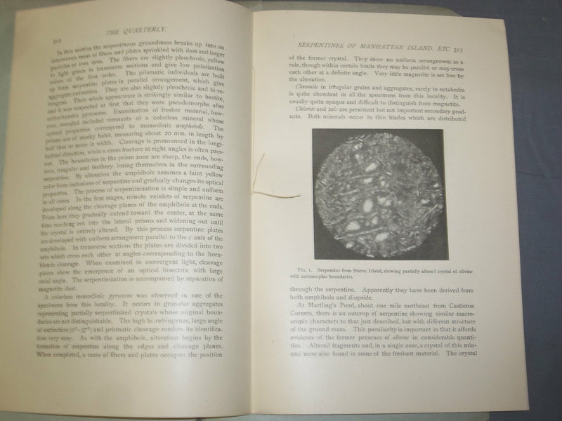 1901 THE SERPENTINES OF MANHATTAN ISLAND AND VACINITY BY D. H. NEWLAND - J 4956