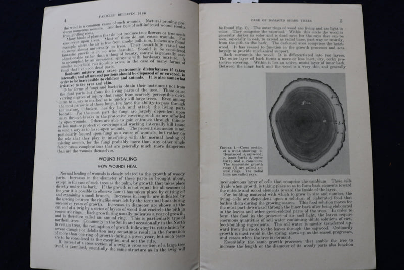 1942 & 1948 SHADE TREES CARE & COMMON DISEASES SOFTCOVER BOOKS -LOT OF 2- K 1414