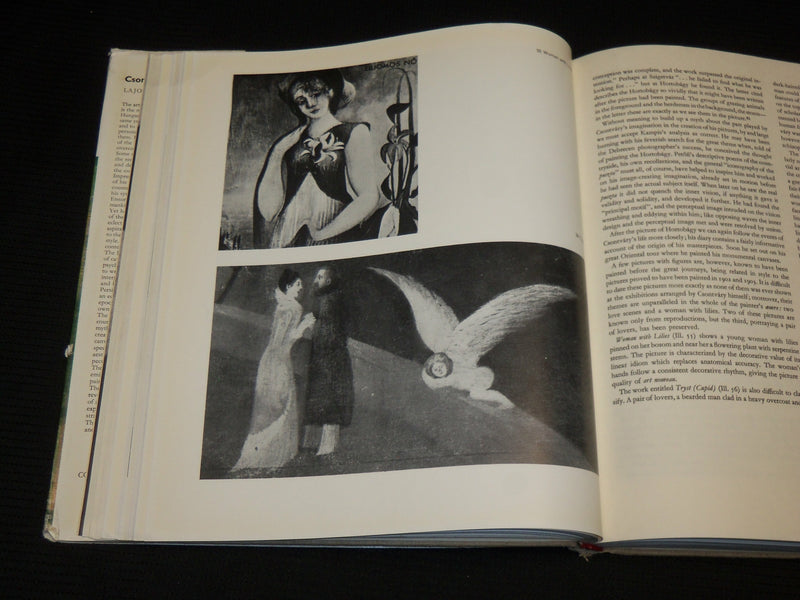 1971 CSONTVARY HARDCOVER BOOK BY LAJOS NEMETH - NICE PRINTS - R 710E