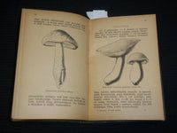 1921 AZ EHETO GOMBAK HARDCOVER BOOK BY DR. BERNATSKY JENO - J 7027