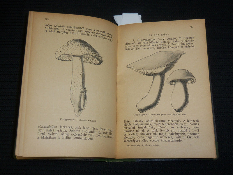 1921 AZ EHETO GOMBAK HARDCOVER BOOK BY DR. BERNATSKY JENO - J 7027