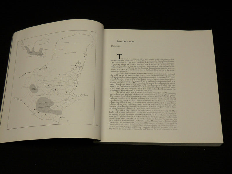 1986 THE BLOOD OF KINGS DYNASTY AND RITUAL IN MAYA ART SOFTCOVER BOOK - R 721E