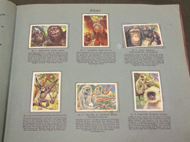1930'S RICH'S SERIE AF DYRENES VERDEN ANIMAL TOBACCO CARDS ALBUM - KD 3181