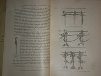 1907 AMER. MUSEUM OF NATURAL HISTORY ANTHROPOLIGICAL PAPERS-VOL 1, PART 1-J 4398