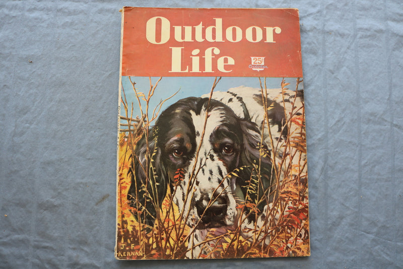 1947 OCTOBER OUTDOOR LIFE MAGAZINE - DOG IN THE WEEDS COVER - SP 6182Q