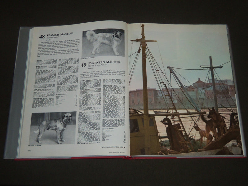 1973 THE ENCYCLOPEDIA OF DOGS EDITED BY PAOLO LECALDANO BOOK - KD 4099