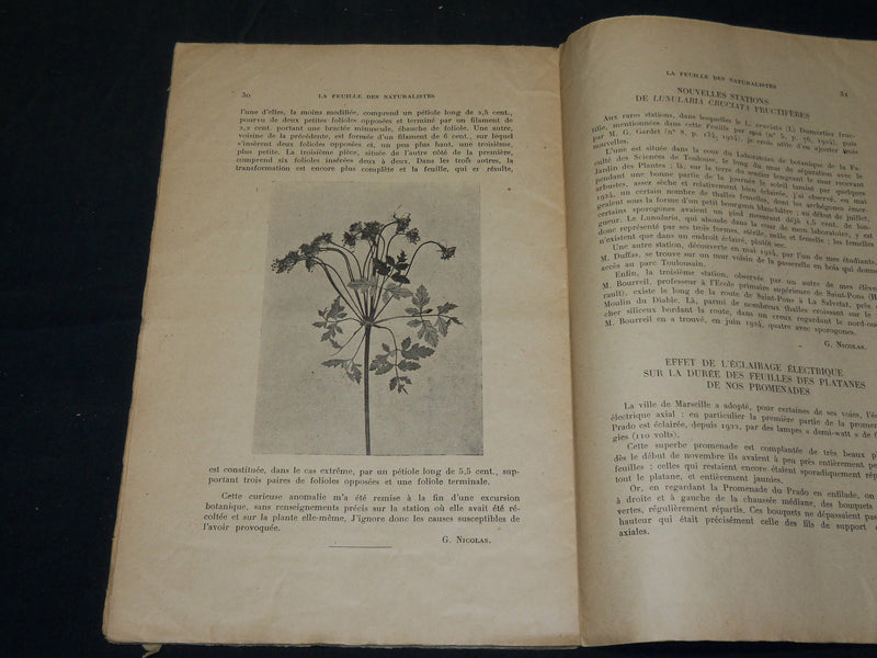 1912-1925 LA FEUILLE DES NATURALISTES FRENCH MAGAZINE LOT OF 22 ISSUES - WR 106C