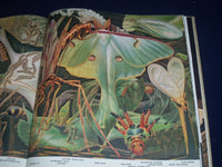 1955 THE WORLD WE LIVE IN BOOK BY TIME INC. - NICE COLOR FOLD OUTS - KD 2206