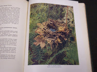 1902 BIRD HOMES EGGS & BREEDING BY A. R. DUGMORE - GREAT ILLUSTRATIONS - KD 33