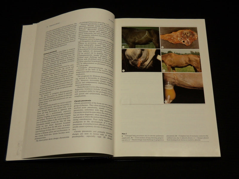 1986 EQUINE DISEASES HARDCOVER BOOK BY HANNS-JURGEN WINTZER - KD 7411