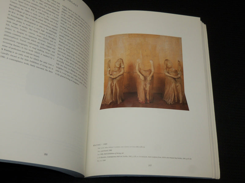 1993 IMAGES AND INSIGHTS SOFTCOVER BOOK BY HUGH LANE - NICE PRINTS - R 716M
