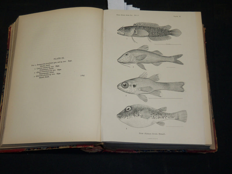 1900 WASHINGTON ACADEMY OF SCIENCES PROCEEDINGS VOLUME NO. 2 - PLATES - KD 5909